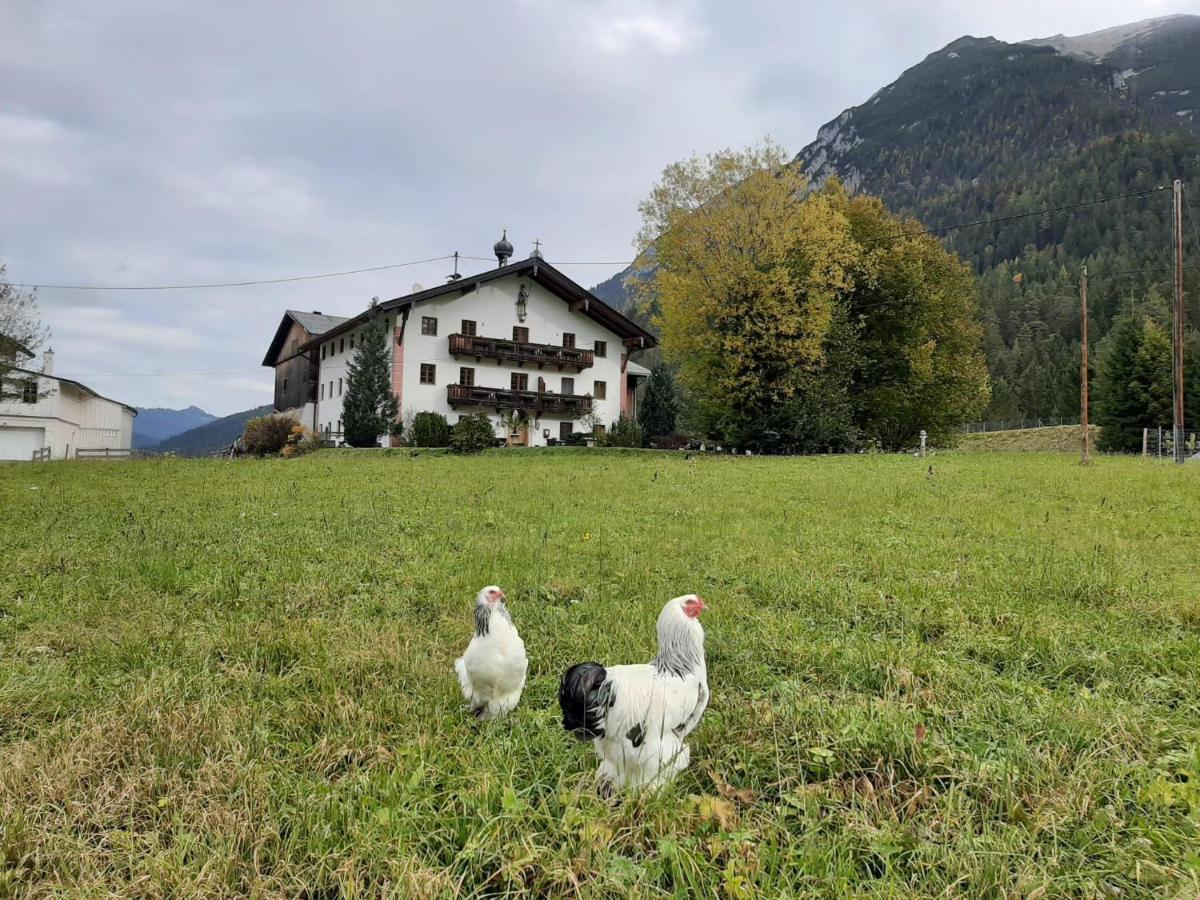 Pulvererhof Achenkirch Luaran gambar