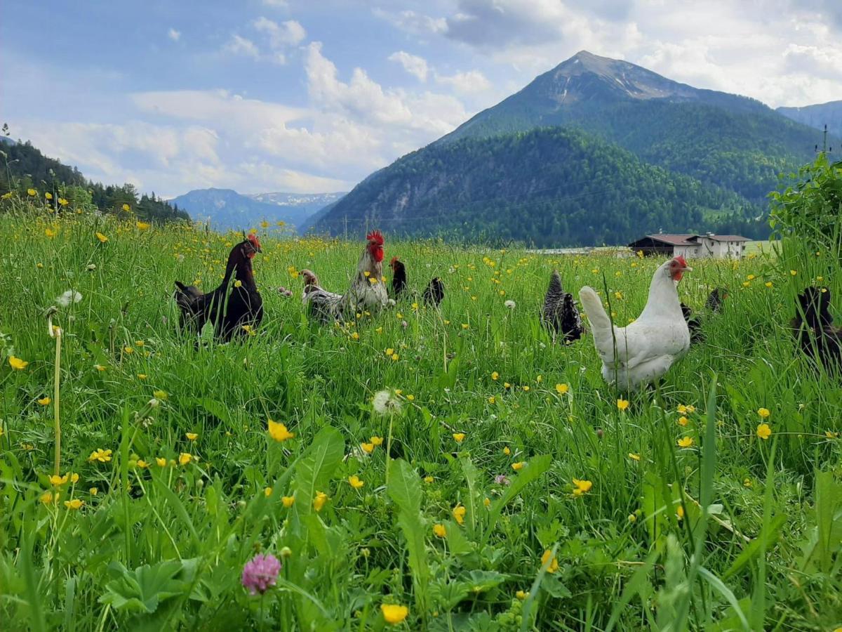 Pulvererhof Achenkirch Luaran gambar