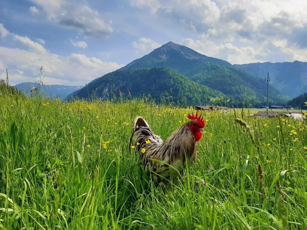 Pulvererhof Achenkirch Luaran gambar