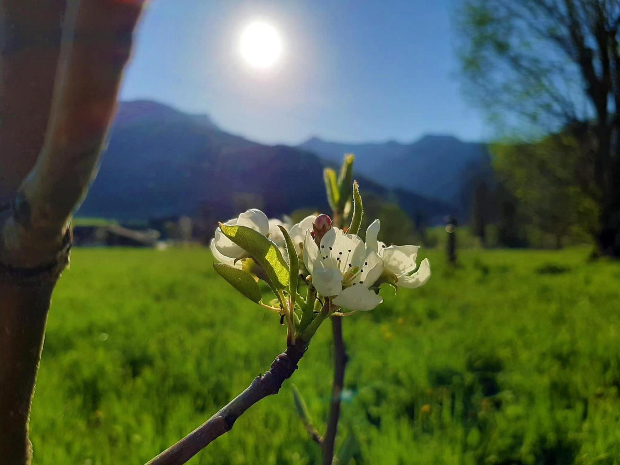 Pulvererhof Achenkirch Luaran gambar