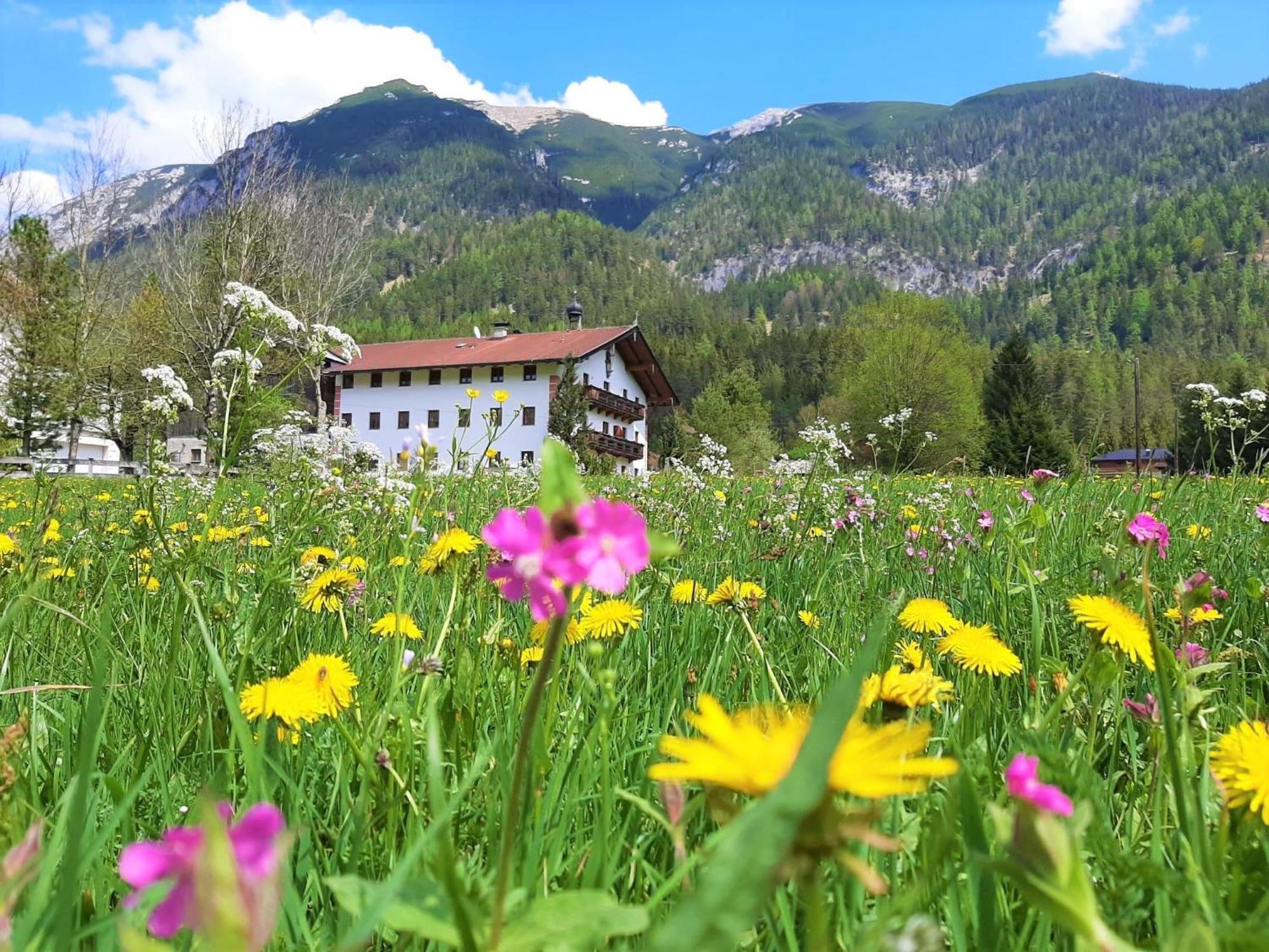 Pulvererhof Achenkirch Luaran gambar