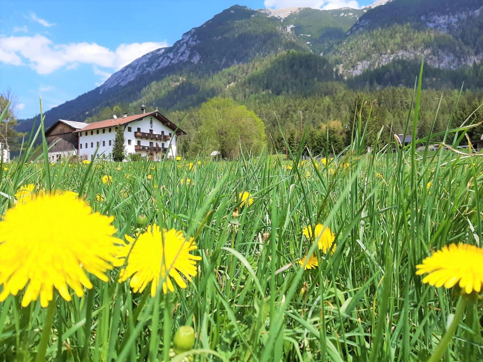 Pulvererhof Achenkirch Luaran gambar